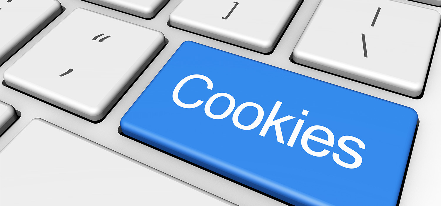 Website Cookie Policy For Terimore Bayfront Inn