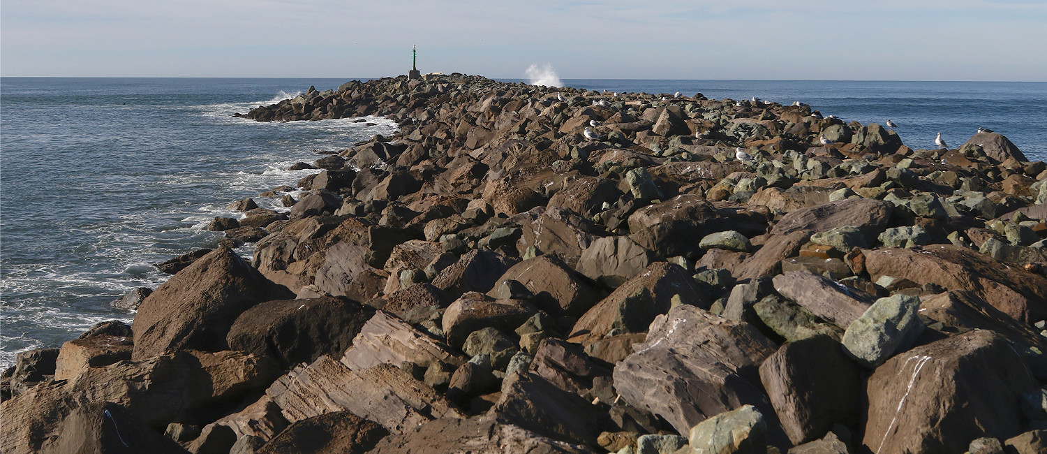 Explore Exciting Things To Do In Tillamook, Oregon
